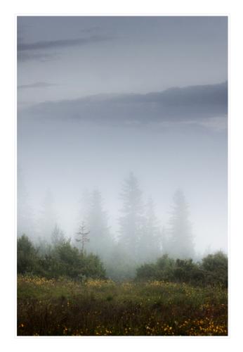 fog-in-the-mountains-near-harpefoss 19753190664 o