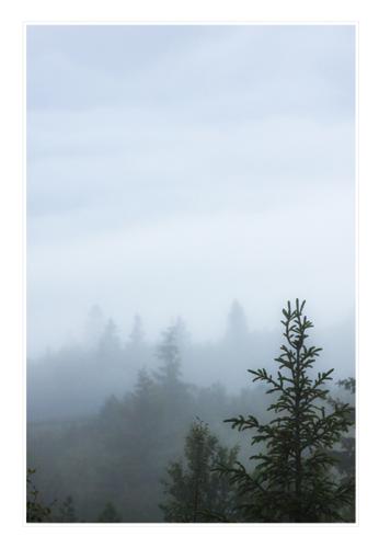 fog-in-the-mountains-near-harpefoss 19753191294 o