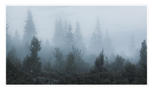 fog-in-the-mountains-near-harpefoss 20073073860 o