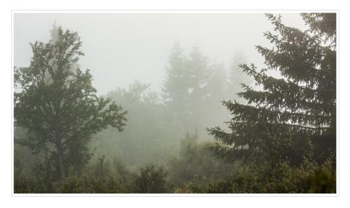 fog-in-the-mountains-near-harpefoss 20266952611 o