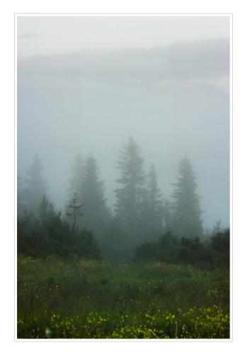 fog-in-the-mountains-near-harpefoss 20310553235 o