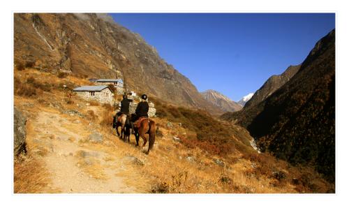 langtang 2